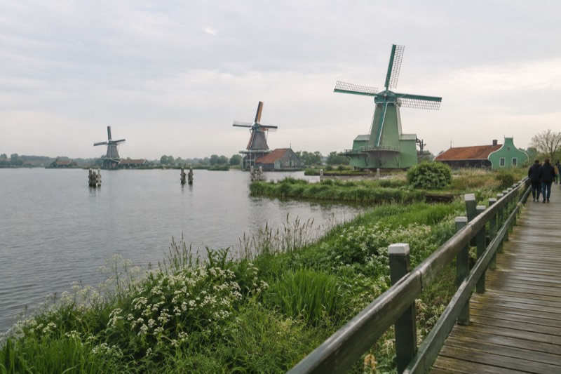 Green and white timber windmills standing along a grassy river bank under a wide sky, a wooden plank walkway in the foreground, Zaanse Schans, Netherlands