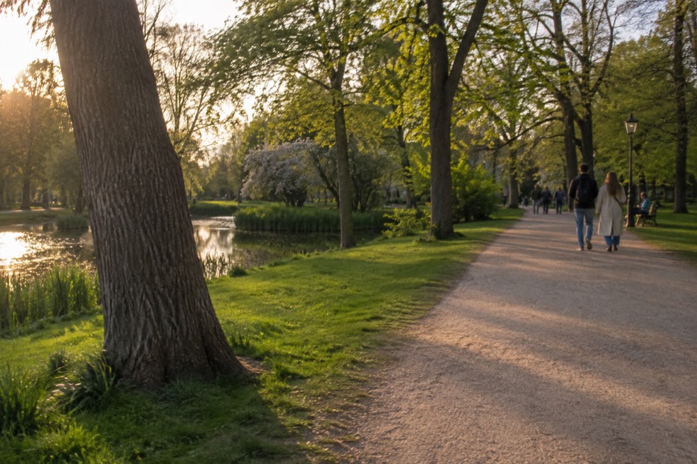 Tree-lined path along the edge of Vondelpark with green lawns on both sides