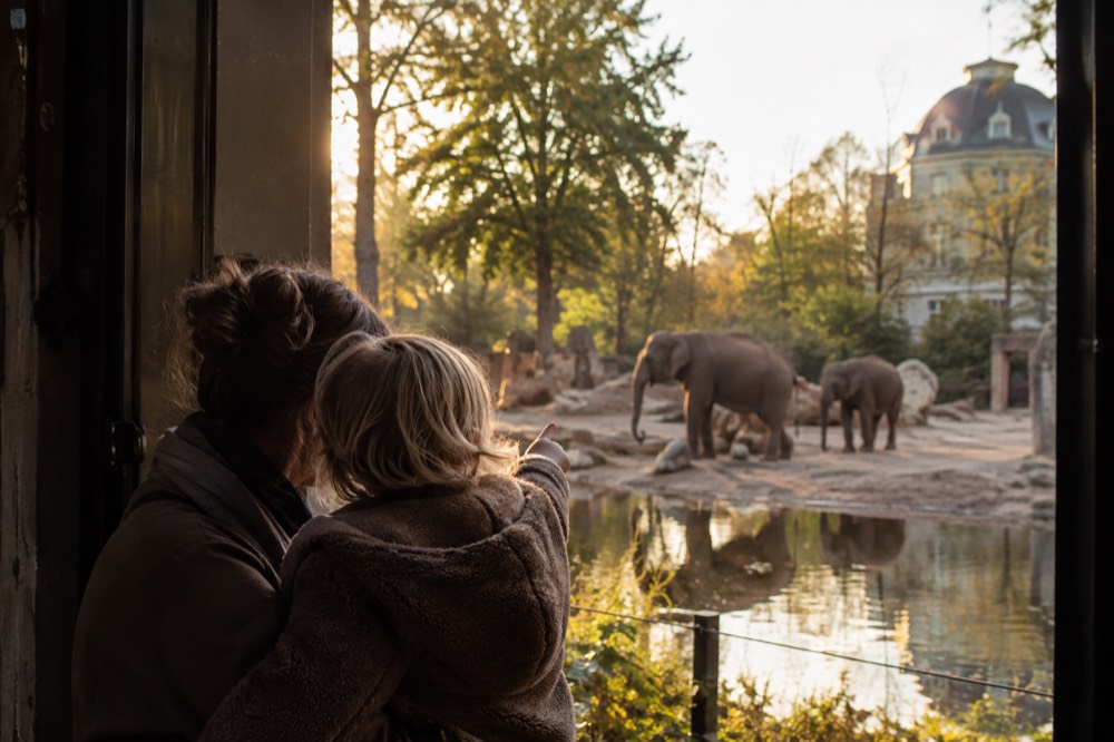 A street-level view of Artis Royal Zoo on an ordinary weekday morning