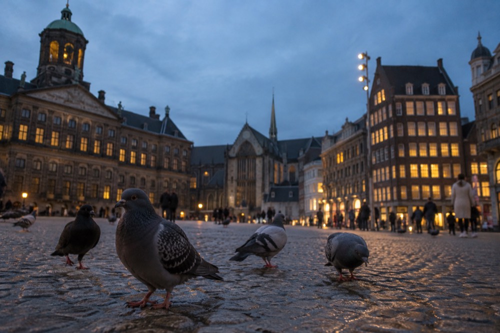 The frontage of Dam Square viewed from the opposite bank