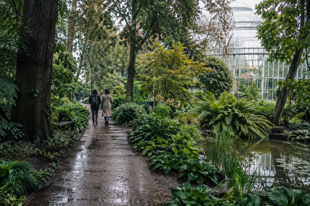 A quiet green path through a lush botanical garden with tall trees and a glass greenhouse in the background