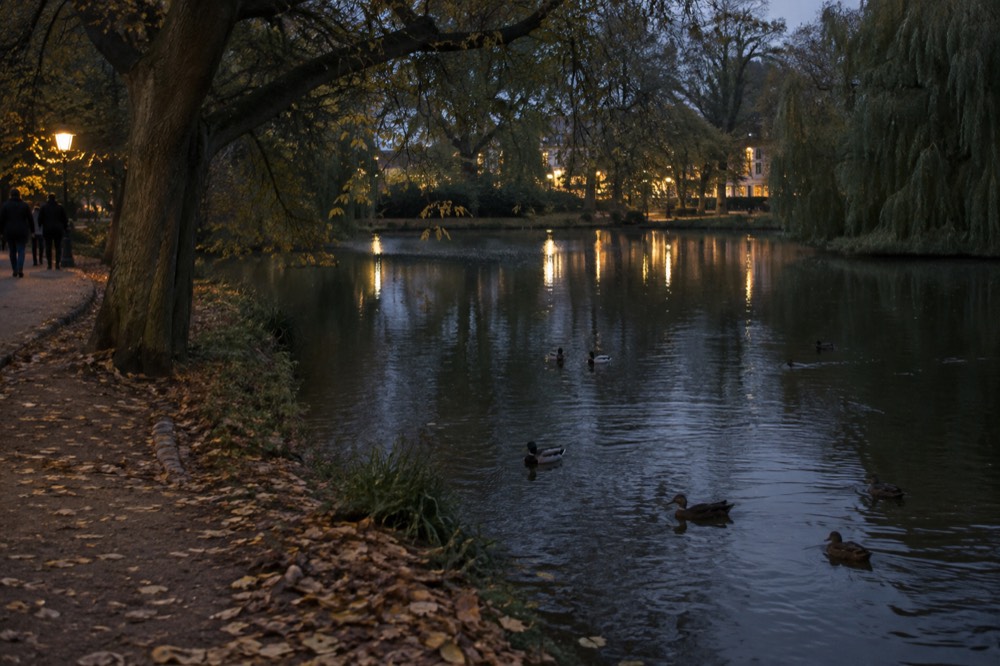 Tree-lined pond in Vondelpark with ducks on the water and a footpath beside it
