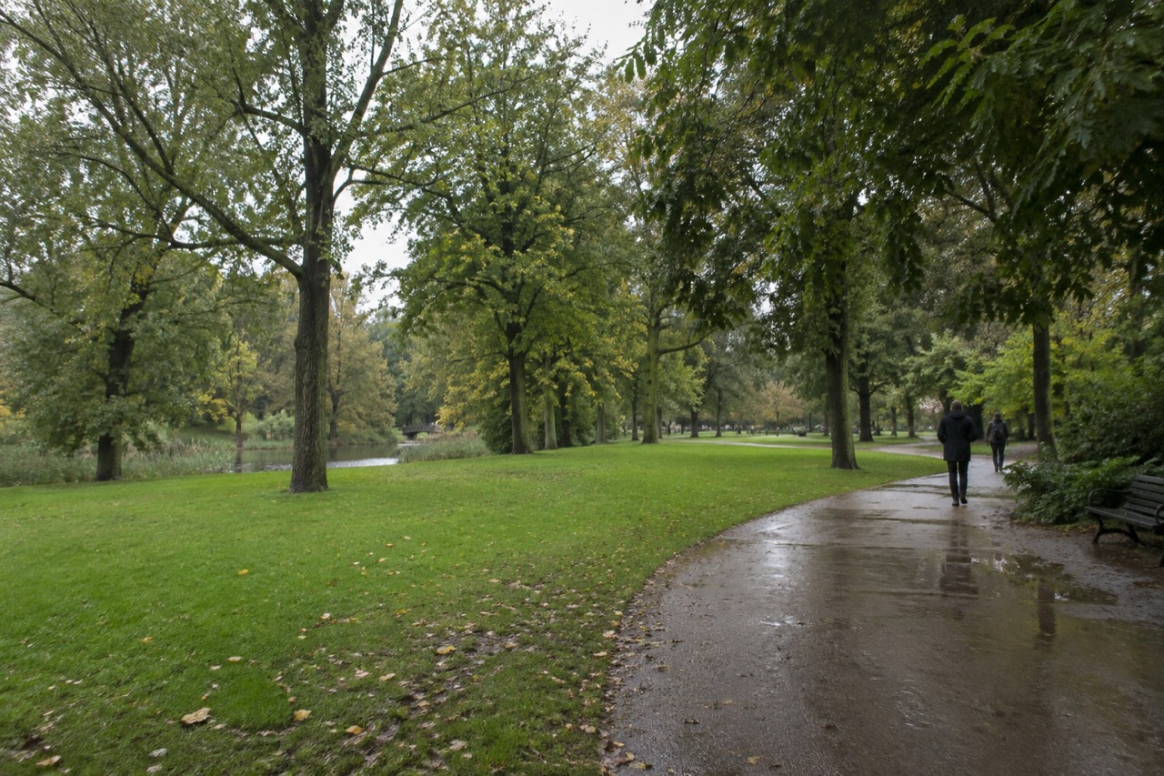 Wide green lawn in Vondelpark with tall trees and winding footpath