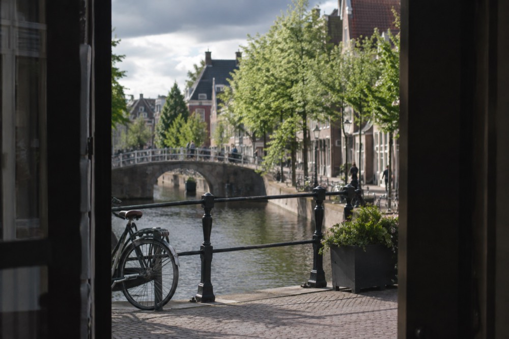 A quiet corner of Alkmaar with trees overhanging the water
