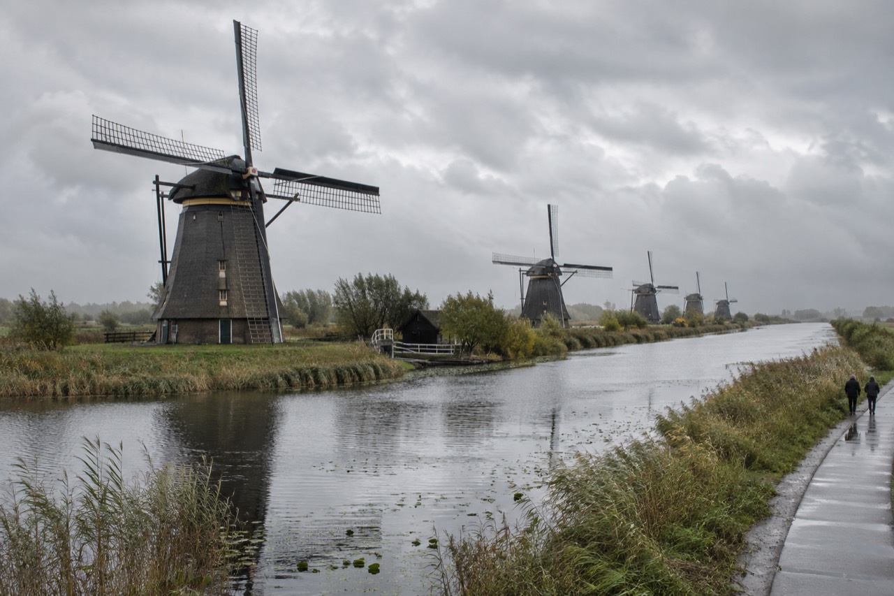 Windmills at Kinderdijk along a canal with reeds