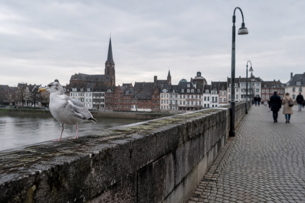 People walking past Maastricht, seen from across the street