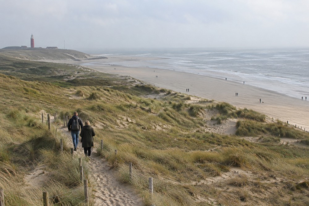 A quiet corner of Texel with trees overhanging the water
