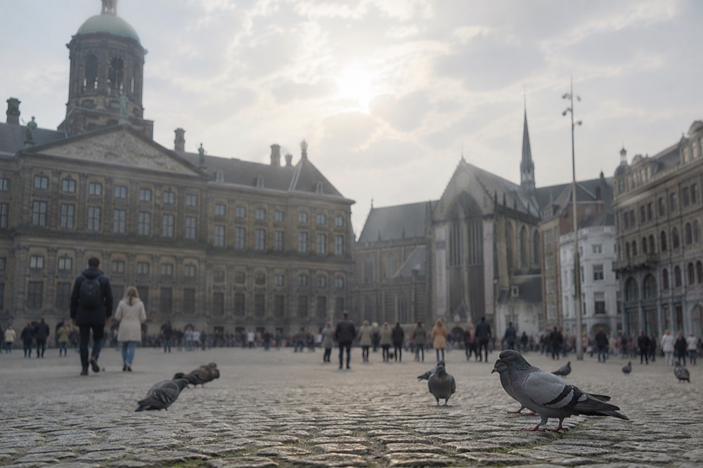 A quiet corner of Dam Square with trees overhanging the water