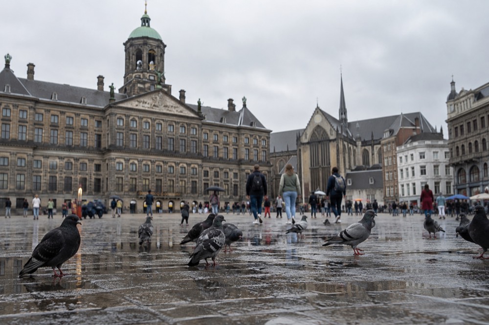 Day Trips From Amsterdam in Summer