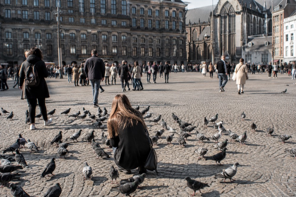 A wide view across the water towards Dam Square