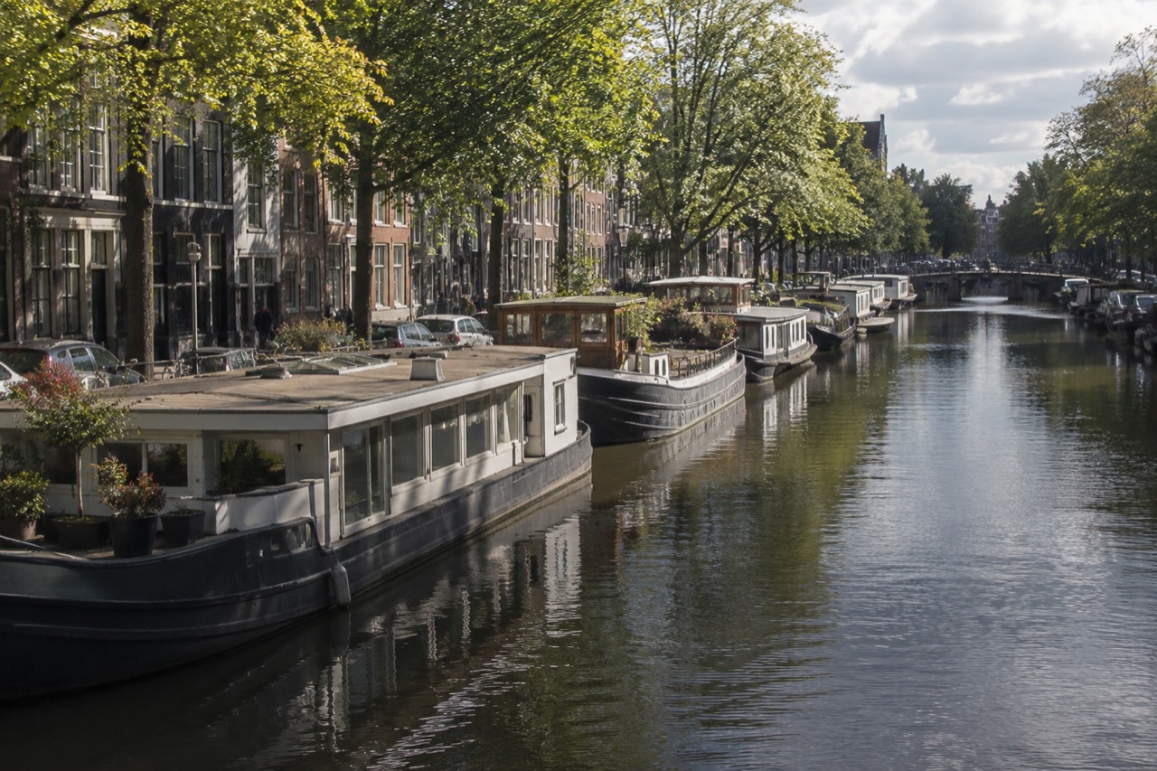 A row of moored houseboats along an Amsterdam canal with trees reflected in the water