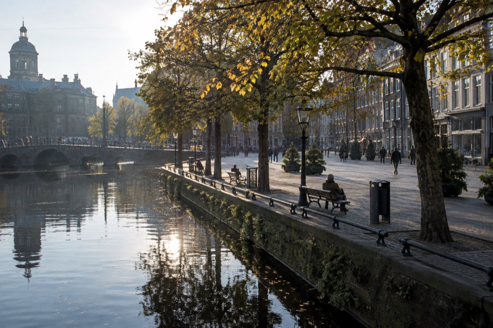 A quiet corner of Dam Square with trees overhanging the water