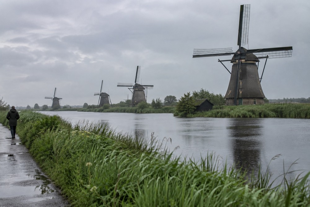 A row of Dutch windmills standing beside a river with green fields