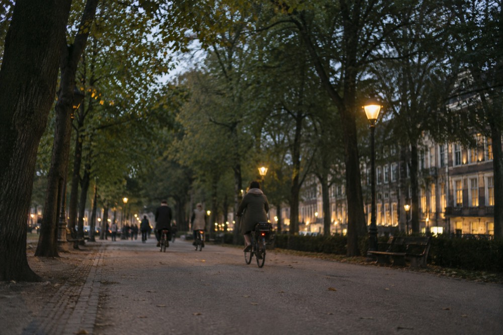 A wide green park path with tall trees and people cycling in the late afternoon